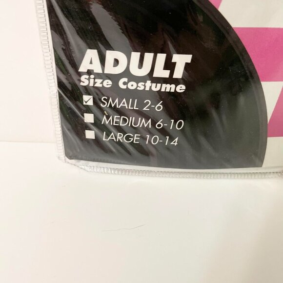 Spirit Thats The Spirit Cheerleader Halloween Costume Adult Size Small 2-6 - Picture 4 of 9